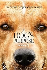 Image result for a dog's purpose imdb