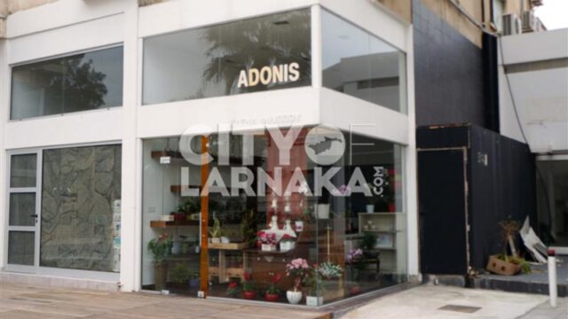 Adonis-flower-shop