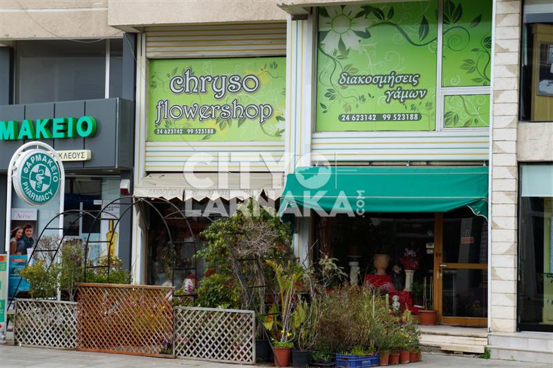 Chryso-Flower-Shop
