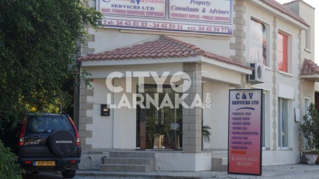 Constandia-Vayianos-services-Ltd