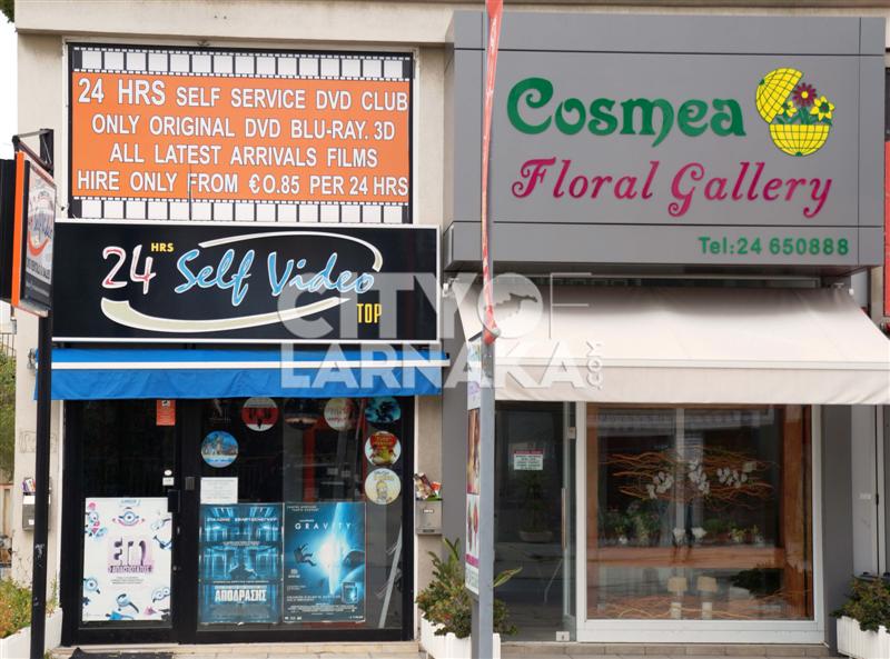 Cosmea-Floral-Gallery