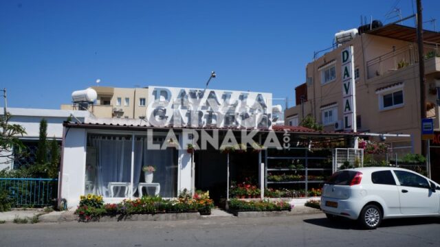 Davalia-Gardens-Co.-Ltd