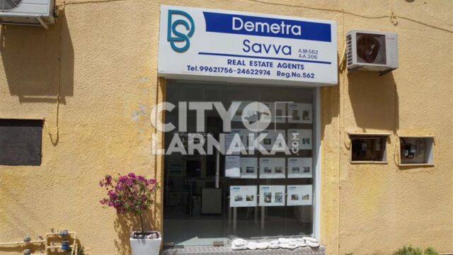 Demetra-Savva-Real-estate-agents