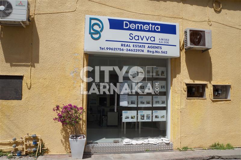 Demetra-Savva-Real-estate-agents