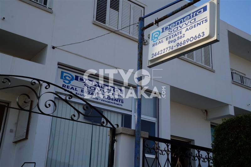 Demetra-Savva-real-estate