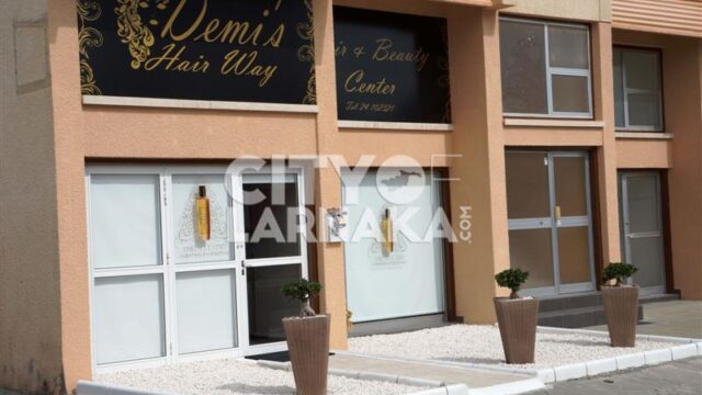 Demis-Hair-way