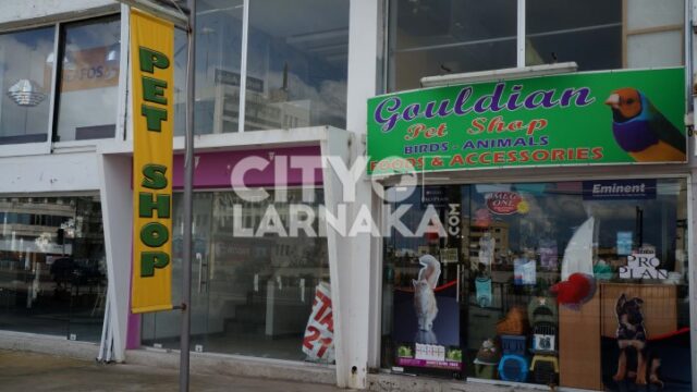 Gouldian-pet-shop