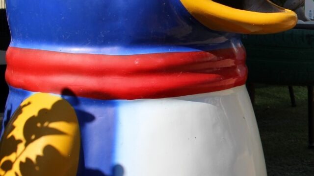 IMG_0357-Large-Copy