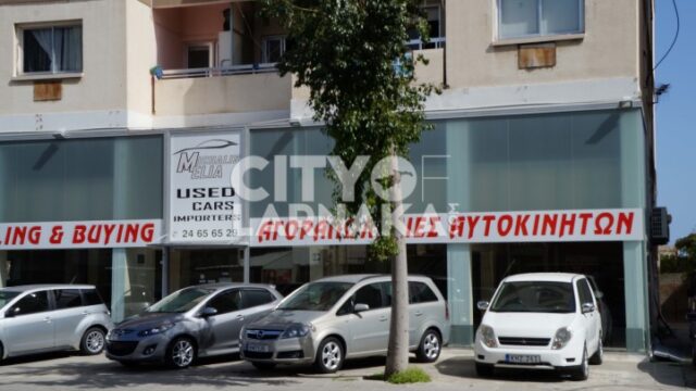 Michalis-Elia-Used-Cars-importers
