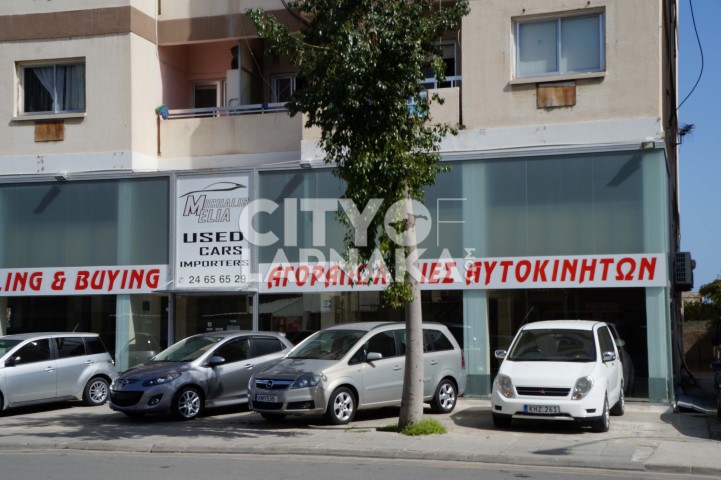 Michalis-Elia-Used-Cars-importers
