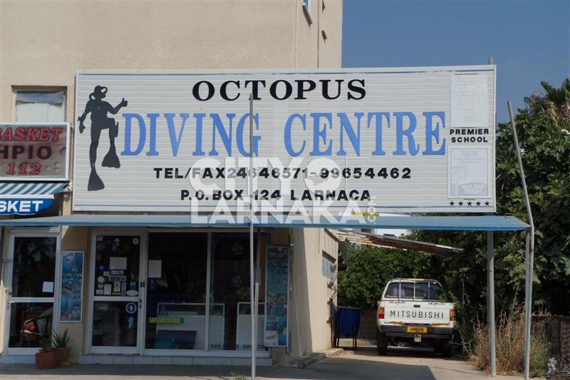 Octopus-Diving-Centre