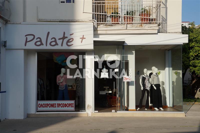 Palate