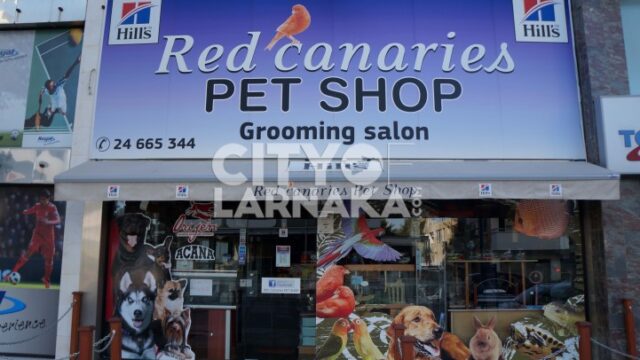 RED-Canaries-PET-SHOP