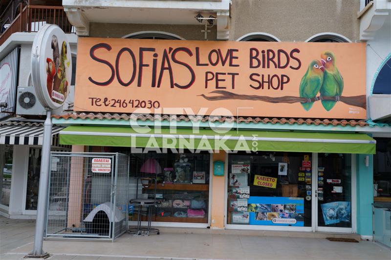 Sofias-Love-Birds-Pet-shop