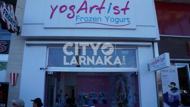 YogArtist-Frozen-Yogurt