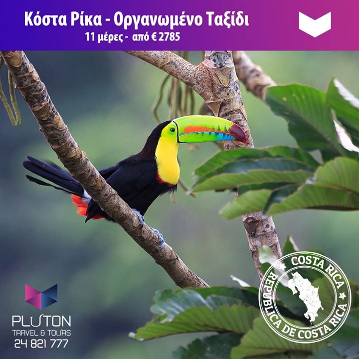 pluton10